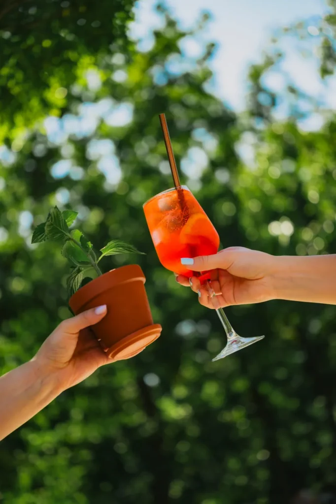 Toast koktajlem i drinkiem w doniczce na tle zieleni